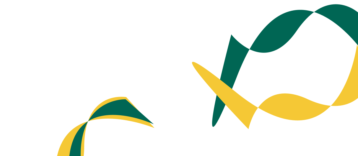 Expert Solutions for Corporate  Financial Success. - FIFA官方网站